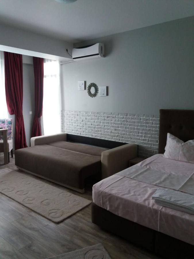 Garsoniera Bibi Mamaia Nordアパートメント エクステリア 写真