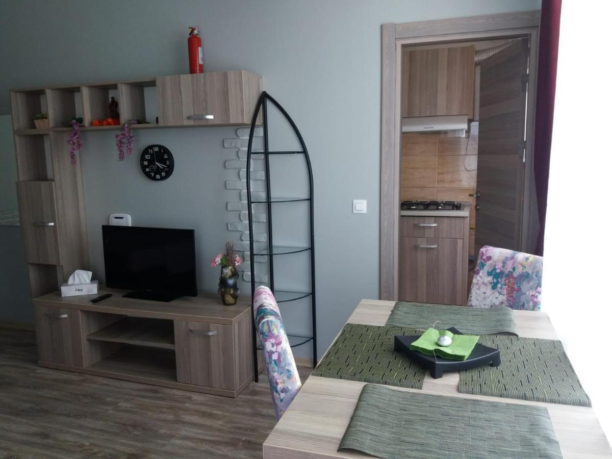 Garsoniera Bibi Mamaia Nordアパートメント エクステリア 写真